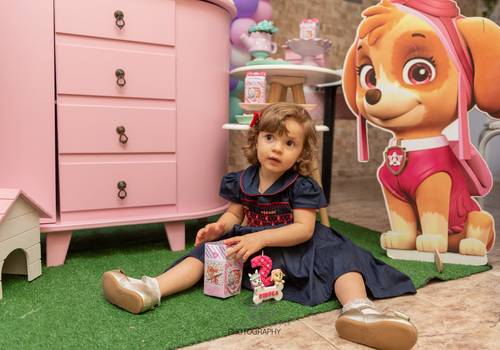 Festa Infantil de Aniversário da Rebeca 