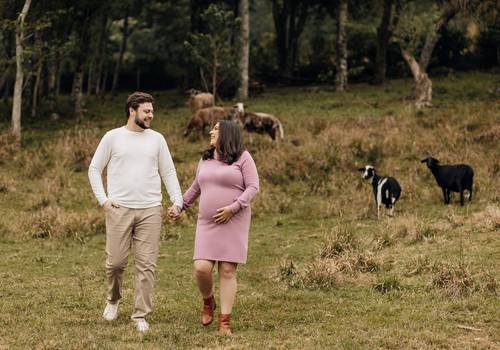 Gestantes  de Gestante Externo