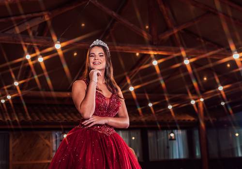 15 Anos de 15 Anos Bárbara Silva