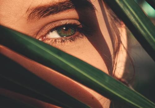 Externo de Duda Lago