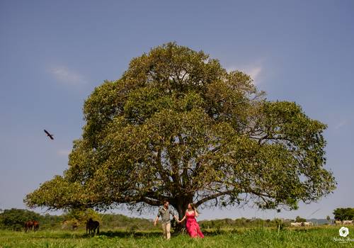 Love Session de Love Session { Carol+Silvio }