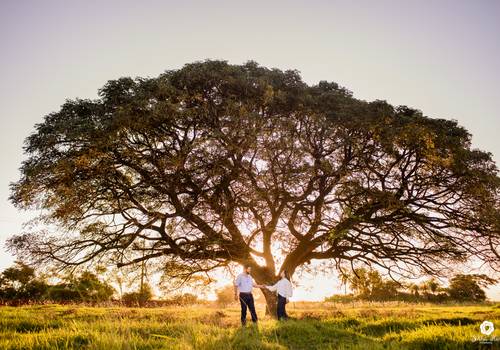 Love Session de Love Session { Carol+Tiago }
