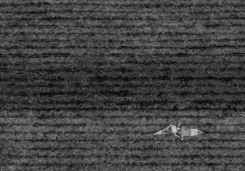 Love Session de Love Session { Bruna + Anderson }