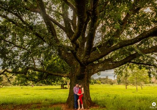 Portrait de A espera de { Pedro }