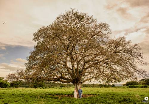 Love Session de Love Session { Daiana + Rafael }
