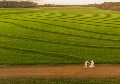 Love Session de Love Session { Carol+Fernando }