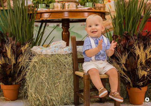 Aniversários de Meu 1 aninho { Pedro }