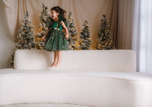 Ensaio Família de Ensaio de Natal 2024 | Família Ferraz