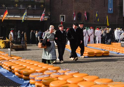 Personal Projects of Let's go to Alkmaar - Cheese Market