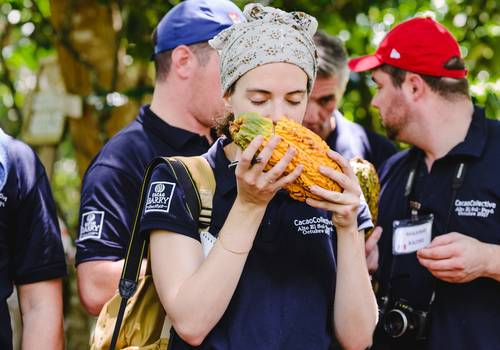 Business documentaries of Cacao Colective visits Acopagro - New edits