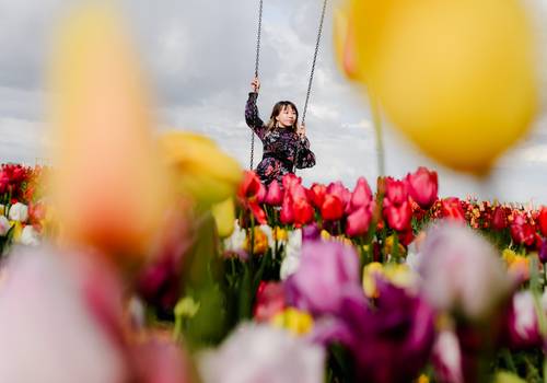 Vacation Photography of When the Weather Changes Everything: A Stormy Tulip Day in Hillegom