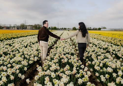 Vacation Photography of A Blooming Celebration in Voorhout: Spring Photography Done Right