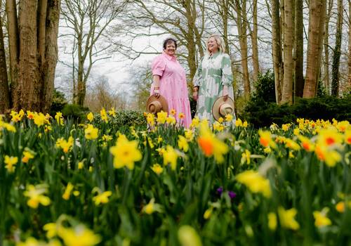 Tulip gardens of Keukenhof in March: What to Expect Before Peak Tulip Season