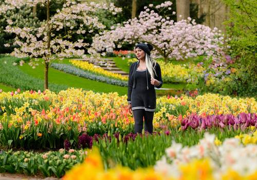 Vacation Photography of From Tulip Experience Amsterdam to Keukenhof: Planning a Solo Traveler's Dream Tulip Session