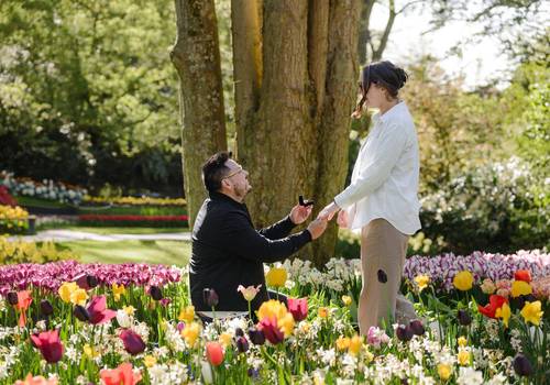 Proposals of A Surprise Proposal at Keukenhof During Tulip Season