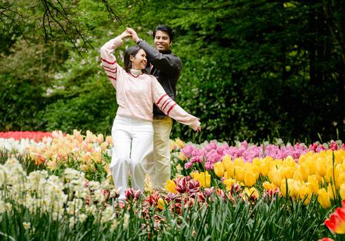 Tulip gardens of Last-Minute Surprise Proposal at Keukenhof During Tulip Season