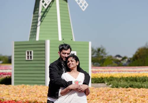 Tulip gardens of Can 20 Minutes Be Enough for Beautiful Photos at The Tulip Barn?