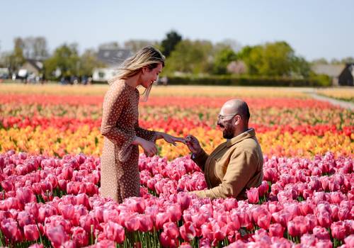 Proposals of Where to Propose Surrounded by Flowers in the Netherlands - Beyond Tulip Season