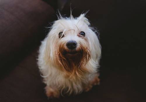 Personal Projects of El coraje de tomarse fotos