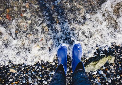 How, when and why to collect oysters at Zeeland?