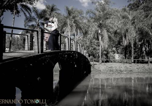 Gestante de Bernardo