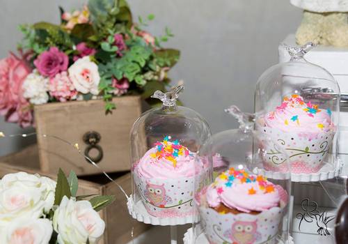 Projeto Colibri de Denise feat Cecilia