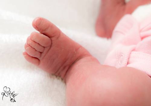 Ensaios Infantil de Cecília - 24 Horas