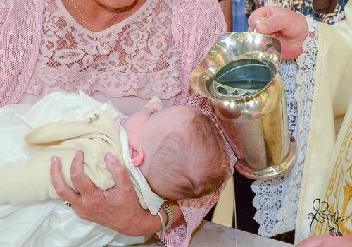 Projeto Colibri de Cecilia