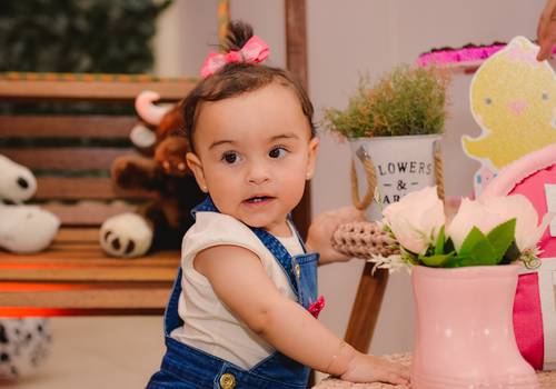 Aniversários Infantil de Gente olha como foi a aniver da Eloisa na fazendinha.