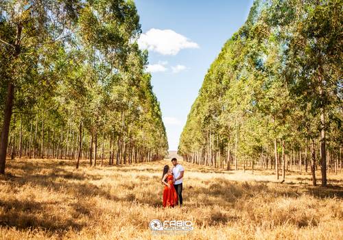 Pre-Wedding de THALIA  E THIAGO