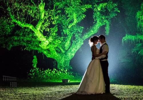 Casamento de Michelle e Carlos