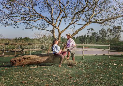 Gestante de Bento - Doce Espera