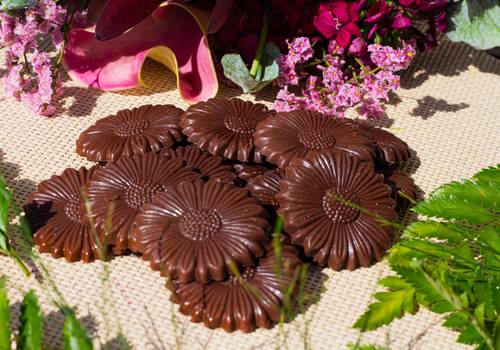 Gastronomia de Chocolate Arcádia