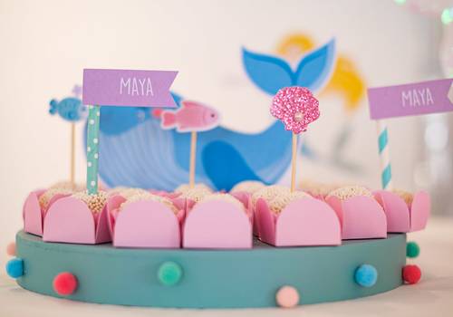 Festa Infantil de Aniversário Infantil I Maya 2 anos