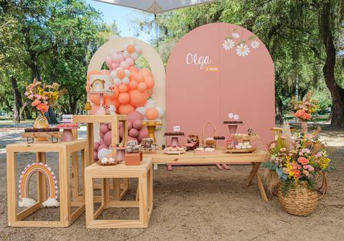 Festa Infantil de Aniversário Infantil I Olga 2 anos