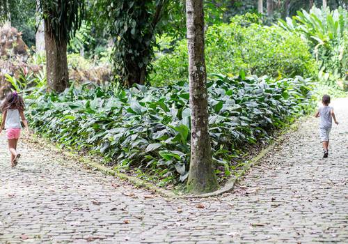 Ensaios de Ensaio de Família | Clara e Bernardo