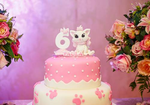 Festa Infantil de Aniversário Infantil I Paulinha 6 anos