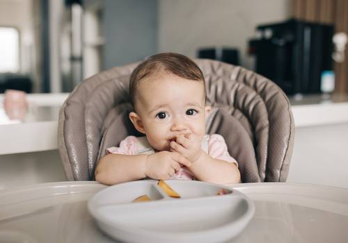 Família / Infantil de Luísa - 6 meses