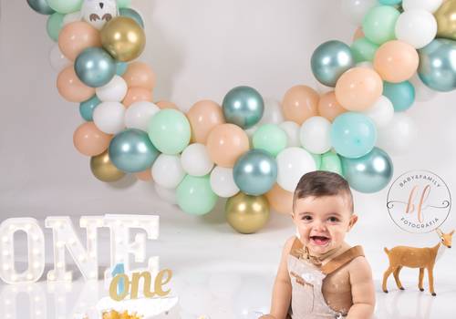 Smash the Cake de Baby L.