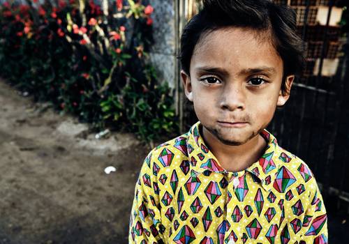 Pinheirinho de Pinheirinho