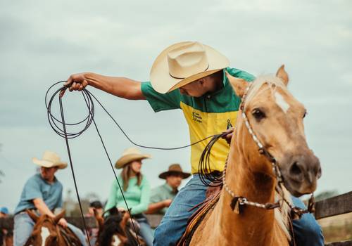 ENSAIOS de Prova de Laço Comprido em Jacarei