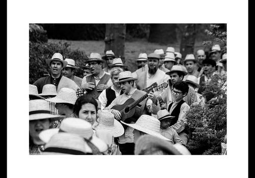 Portfólio de Chá com Alma - Tradição que Floresce em Maio.