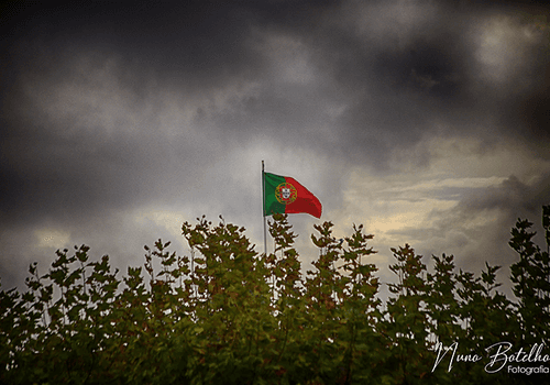 Portfólio de Liberdade