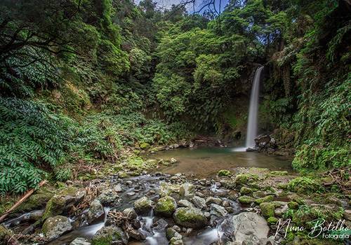 Portfólio de Trilho Moinho do Felix
