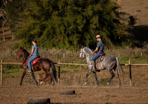 Evento afetivo de CTE Matheus Pereira
