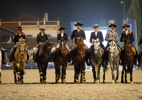Equestrian de Feira Nacional do Cavalo 2022