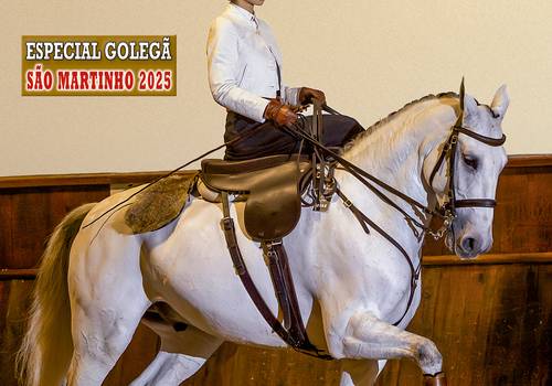 Equestrian de Editorial Projects 