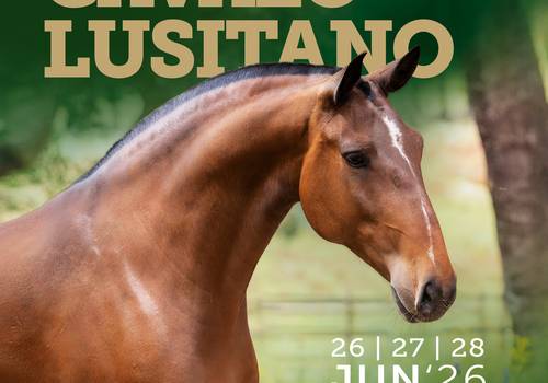 Equestrian de Editorial Projects 