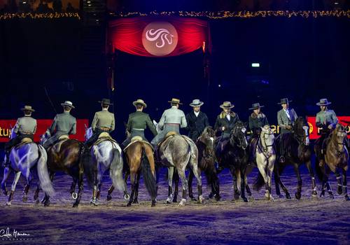 Equestrian de The Pride Of Portugal Display