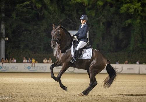 Equestrian de Competition